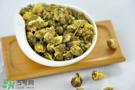 立夏喝菊花好嗎？立夏能吃苦菊嗎？