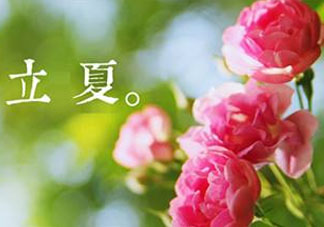 立夏開(kāi)什么花？立夏有什么花？