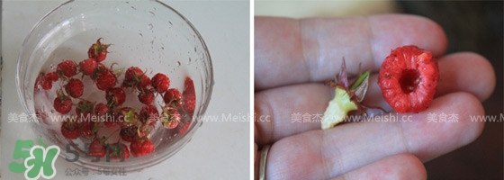 樹莓有毒嗎？樹莓有刺嗎？