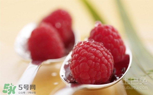 樹莓多少錢一斤 樹莓價(jià)格 樹莓多少錢一斤 樹莓價(jià)格