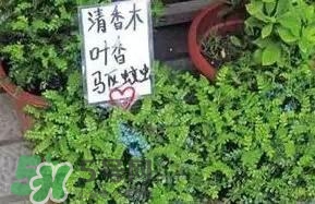 寶寶驅(qū)蚊產(chǎn)品哪個(gè)好？寶寶驅(qū)蚊用什么好？