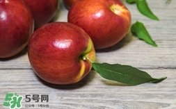 油桃什么時(shí)候成熟？油桃什么季節(jié)成熟