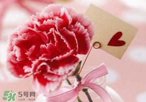 母親節(jié)要送婆婆禮物嗎？母親節(jié)要給婆婆買(mǎi)禮物嗎？