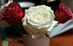 母親節(jié)可以送玫瑰花嗎？母親節(jié)送幾朵玫瑰花好？