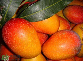 甜瓜和芒果可以一起吃嗎？甜瓜和芒果一起吃好嗎？