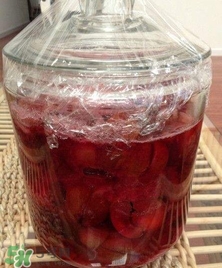 三華李能泡酒嗎？三華李怎么泡