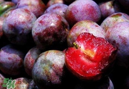 三華李怎么種植？三華李種植技術(shù)