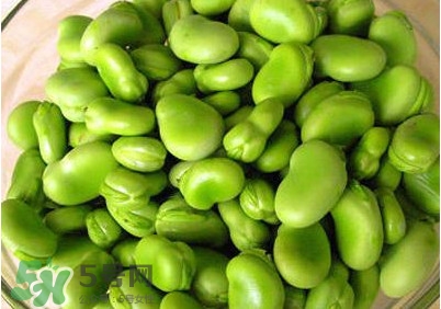 青蠶豆怎么做好吃？青蠶豆的做法大全