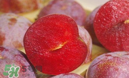 吃三華李有什么好處？三華李的功效與作用