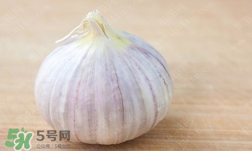 蒜頭能放冰箱嗎？蒜頭能放多久？