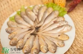 黃唇魚是黃花魚嗎？黃唇魚是黃魚嗎？