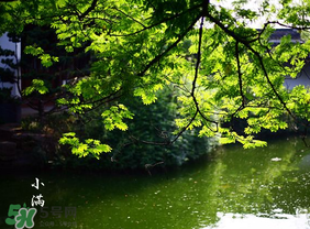 2017年小滿會下雨嗎？2017年小滿下雨好嗎？