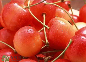 ?端午節(jié)還有櫻桃嗎？端午節(jié)可以摘櫻桃嗎？