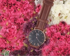 dw手表和卡西歐哪個(gè)好？dw手表和卡西歐手表哪個(gè)檔次高？