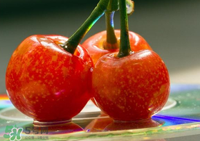 ?端午節(jié)還有櫻桃嗎？端午節(jié)可以摘櫻桃嗎？