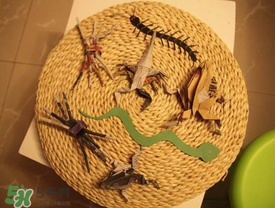 端午節(jié)五毒是什么？端午節(jié)為什么要避五毒？