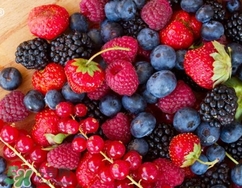 來月經(jīng)可以吃樹莓嗎？月經(jīng)期間吃樹莓好嗎？