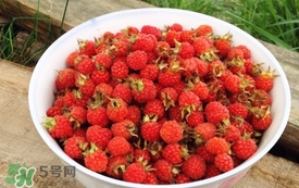 山莓是覆盆子嗎？山莓和覆盆子的區(qū)別