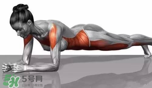 堅(jiān)持做一個(gè)月平板支撐會(huì)怎樣？女生做平板支撐一個(gè)月