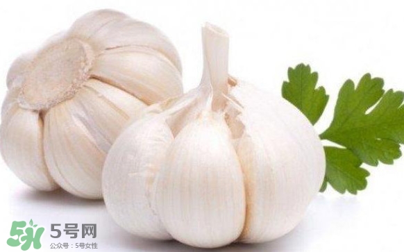 蒜頭發(fā)芽能吃嗎？蒜頭發(fā)芽可以吃嗎？