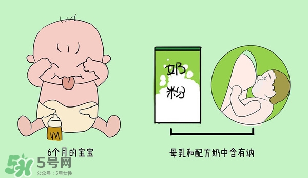 寶寶不吃鹽的危害 寶寶不吃鹽會怎么樣 寶寶不吃鹽的危害 寶寶不吃鹽會怎么樣