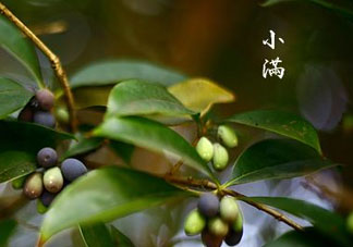 2017年小滿會下雨嗎？2017年小滿下雨好嗎？