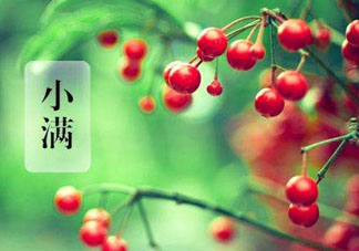 小滿是什么節(jié)氣？小滿是第幾個節(jié)氣？