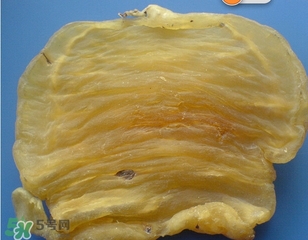 黃唇魚鰾一斤多少錢？黃唇魚鰾的藥用價(jià)值