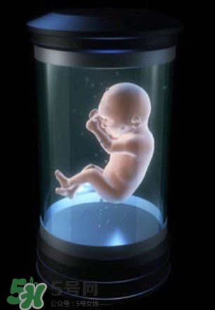 人造子宮能生孩子嗎？人造子宮成功案例