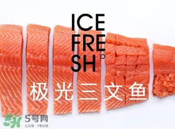 三文魚怎么保存?三文魚怎么保鮮? 三文魚怎么保存?三文魚怎么保鮮?