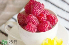 覆盆子是什么？覆盆子是樹莓嗎