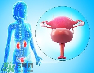 人造子宮能生孩子嗎？人造子宮初現(xiàn)曙光