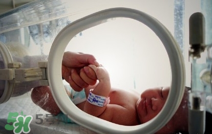 人造子宮能生孩子嗎？人造子宮初現(xiàn)曙光