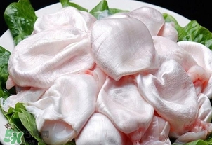 黃唇魚鰾是魚肚嗎？黃唇魚鰾是魚泡嗎