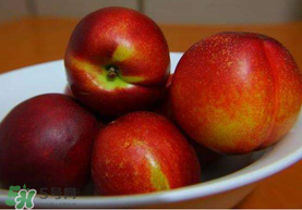 油桃是熱性還是涼性？油桃是寒性水果嗎？