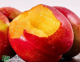 油桃是熱性還是涼性？油桃是寒性水果嗎？