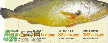 孕婦能吃金錢鱉嗎？懷孕期間能不能吃金錢鱉？