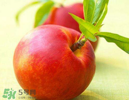 油桃什么人不能吃？油桃的禁忌