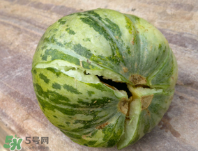 香瓜裂口怎么回事？香瓜裂了怎么辦？