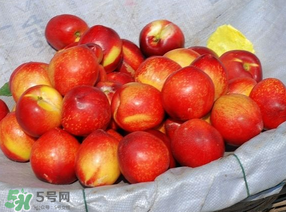 油桃怎么洗？油桃怎么洗干凈？