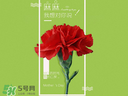 2017年母親節(jié)會(huì)打折嗎？2017年母親節(jié)有什么優(yōu)惠活動(dòng)？