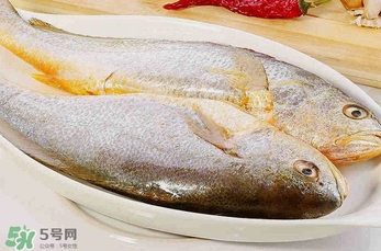 黃花魚多少錢一斤？野生黃花魚多少錢一斤