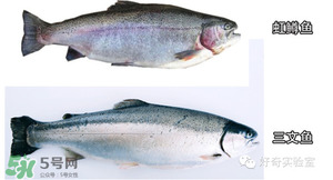 三文魚有刺嗎？三文魚的刺怎么處理