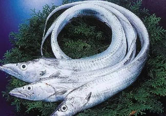 三文魚多少錢一斤2017？新鮮三文魚多少錢一條2017？