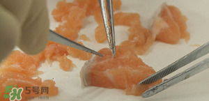 三文魚有刺嗎？三文魚的刺怎么處理