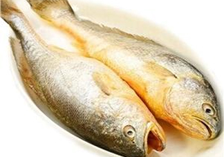 黃花魚多少錢一斤？野生黃花魚多少錢一斤