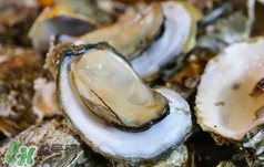 丹麥生蠔能吃嗎？生蠔的吃法大全集
