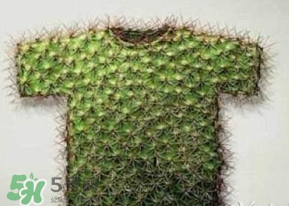 貞操褲怎么上廁所？貞操褲圖片