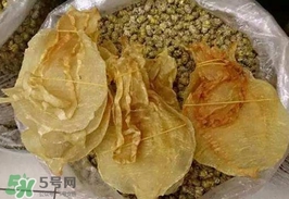 金錢鳘值多少錢？金錢鳘魚膠功效