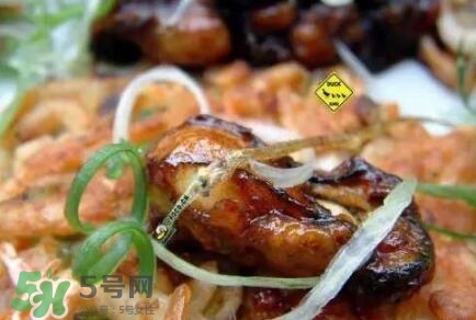 丹麥生蠔能吃嗎？生蠔的吃法大全集